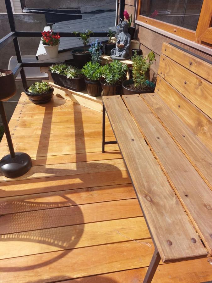 Hostal Buenavista Patagonia 蓬塔阿雷纳斯 外观 照片
