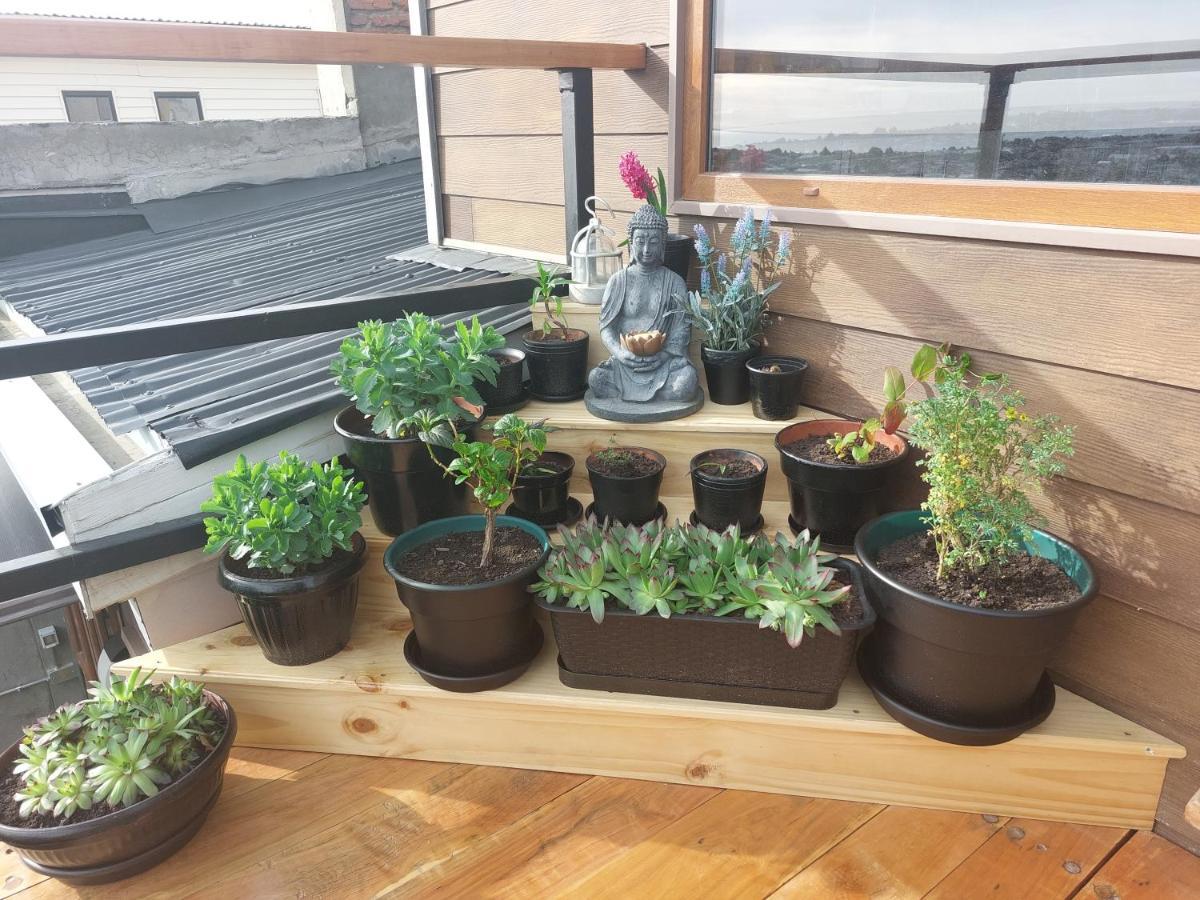 Hostal Buenavista Patagonia 蓬塔阿雷纳斯 外观 照片